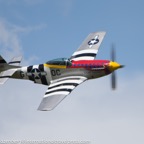 Willem Hazenberg_201505_NLD_1DX_WHB__H1X4713-bewerkt PROP1.jpg